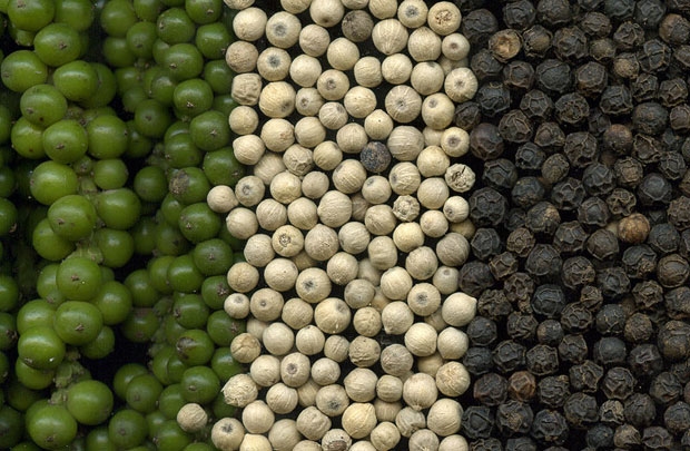 វៀតណាមចូលរួមសន្និសីទប្រចាំឆ្នាំសម្ព័ន្ធសមាគមម្រេចអន្តរជាតិលើកទី៤៣