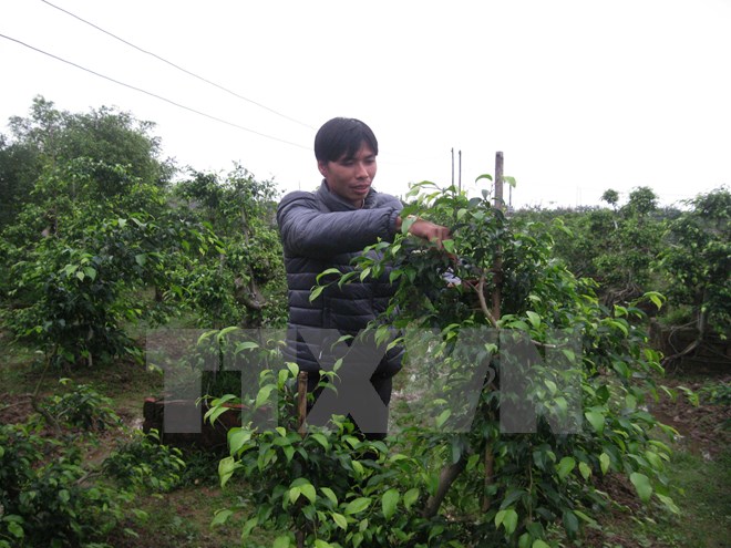 វៀតណាមខំប្រឹងប្រែងកសាងរូបសណ្ឋានកំណើនថ្មី