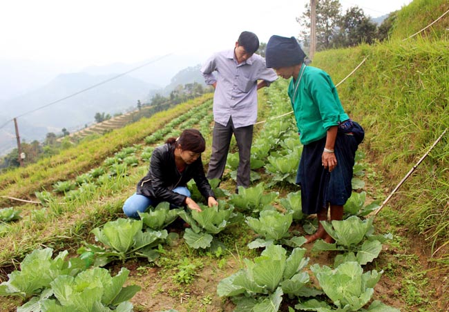 សិក្ខាសាលាស្តីពីបង្កើនកិច្ចសហប្រតិបត្តិការលើវិស័យកសិកម្មវៀតណាមក្នុងដំណាក់កាលថ្មី
