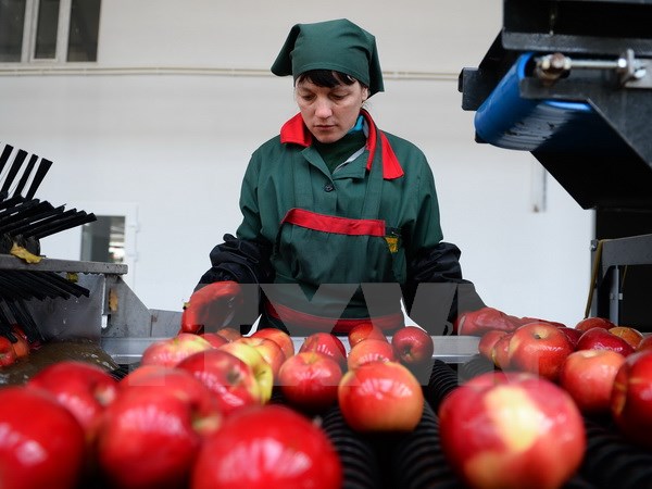 EU និងរុស្ស៊ីរងការខូចខាតរាប់ម៉ឺនលានអឺរ៉ូដោយសារវិធានការដាក់ទ័ណ្ឌកម្ម