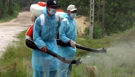 ម្ចាសការអនុវត្តបណ្ដាវិធានការបង្ការប្រឆាំងមេរោគ Zika