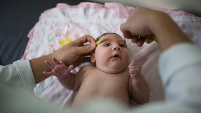 អឺរ៉ុបបង្កើតក្រុមអ្នកជំនាញការស្តីពីវីរុស Zika