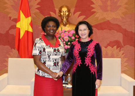 វៀតណាមត្រូវជំរុញខ្លាំងការរៀបចំរចនាសម្ព័ន្ធខឿនសេដ្ឋកិច្ចឡើងវិញ