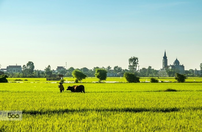 ទស្សនាខេត្តThai Binh