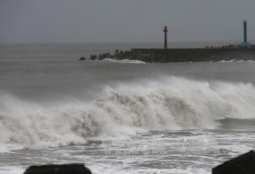 តៃវ៉ាន់ (ចិន)៖ជើងហោះហើរជិត២០០ជើងត្រូវលុបចោលដោយសារខ្យល់ព្យុះ Malakas