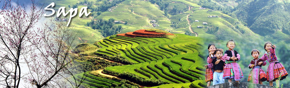 Sa Pa ជំរុញខ្លាំងបណ្ដាផលិតផលទេសចរណ៍ពិសេស គុណភាពខ្ពស់