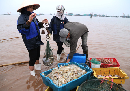 ទស្សនាផ្សារត្រីGiao Hai ខេត្តNam Dinh