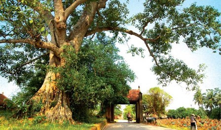 ស្ថាបត្យកម្មពិសេសនៃភូមិប្រពៃណីរបស់វៀតណាម