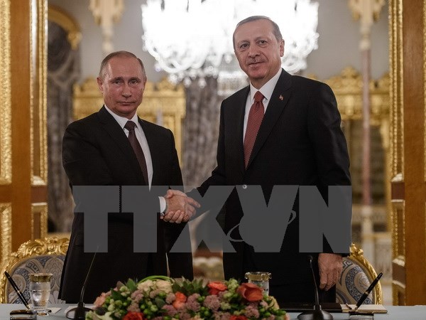 ប្រធានាធិបតីរុស្ស៊ីអនុម័តលើកិច្ចព្រមព្រៀងចរន្ត «លំហូរទួរគី»