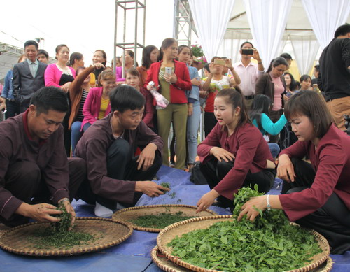 តំបន់តែពិសេស Tan Cuong នៅខេត្ត Thai Nguyen ត្រូវបាន ទទួលស្គាល់ជាតំបន់ទាក់ទាញភ្ញៀវទេសចរក្នុងស្រុក