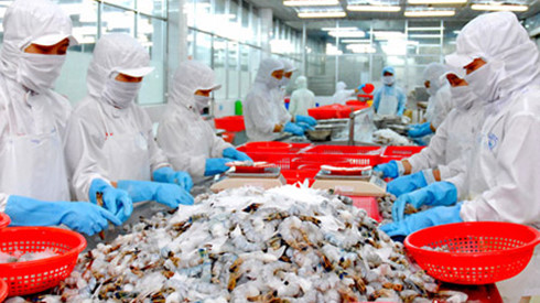 វៀតណាមខំប្រឹងប្រែងសម្រេចគោលដៅទំហំពាណិជ្ជកម្មនាំចេញជលផលបាន៧,៥ពាន់លានUSD ក្នុងឆ្នាំ២០១៧