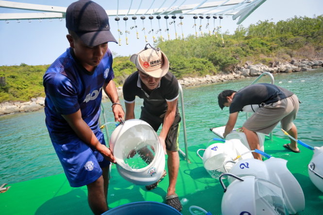 Chiếc mũ đi bộ dưới đáy biển được lau sạch sẽ hằng ngày