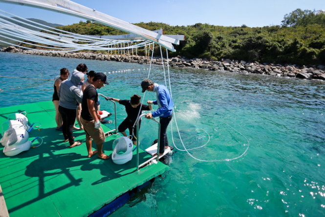 Địa điểm đi bộ dưới biển là khu vực đảo Hòn Một, thuộc vịnh Nha Trang