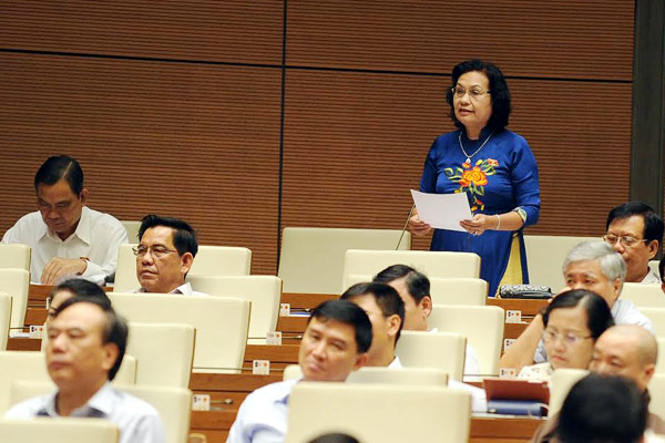 Депутаты НС СРВ обсудили проект исправленного Уголовного кодекса