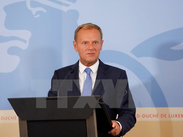 ЕС не работает над сценарием отсутствия соглашения о Brexit, заявил Туск