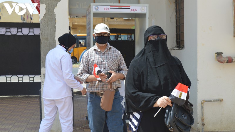 В Египте прошли выборы в восстановленный Сенат