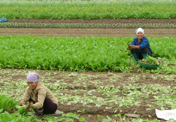 Développer une économie verte pour valoriser les capitaux naturels