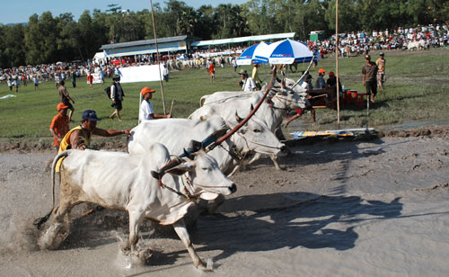 Clôture de la fête des Khmers du Nam Bô