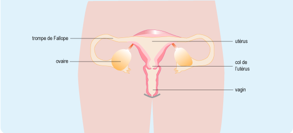 Questions gynécologiques : un problème majeur dans les pays en développement