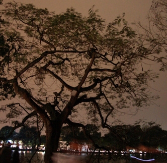 60 minutes sans lumière électrique à Hanoi