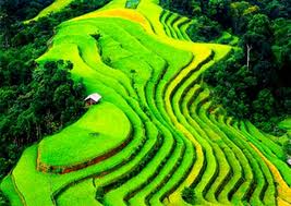 Les couleurs du Nord-Ouest en plein coeur de Hanoï