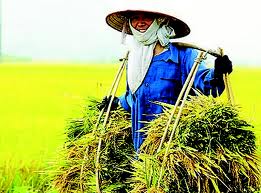 Mettre en avant les coopératives agricoles