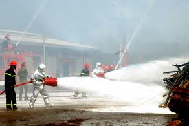 La commission de Défense et de Sécurité discute de sécurité incendie