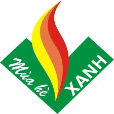 Déclenchement de la campagne de volontariat d’été vert 2012 à Ho Chi Minh-ville