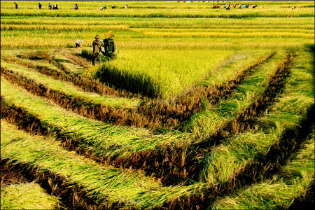 La commune d’Ayun Ha à la pointe de la nouvelle ruralité