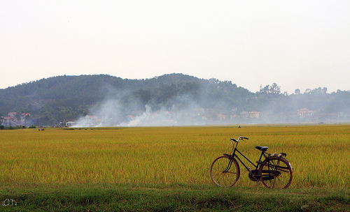 Nouvelle ruralité : la province de Bac Ninh a pris un départ canon