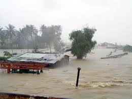 Trần Thành Long, un homme de coeur