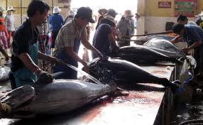 Augmenter la valeur ajoutée du thon vietnamien exporté