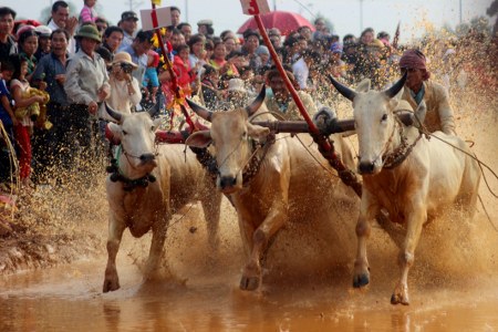 La Semaine de la solidarité nationale et du patrimoine culturel vietnamien