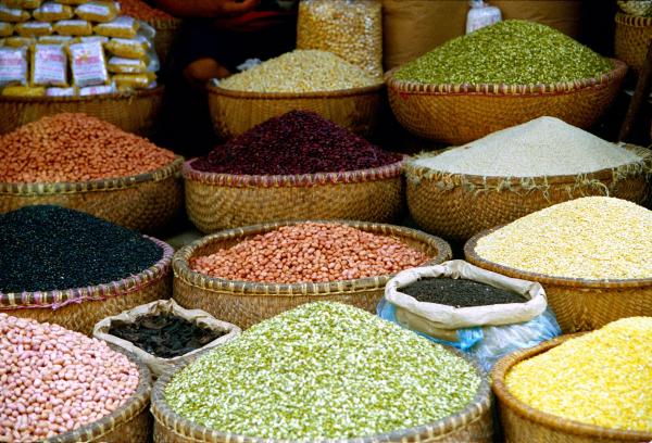 Diversifier les débouchés des produits agricoles