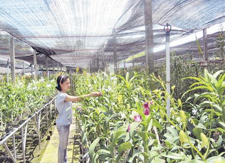 Ho Chi Minh-ville mise sur l’application des technologies