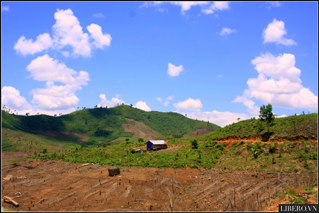 Améliorer la vie des minorités ethniques du Tây Nguyên