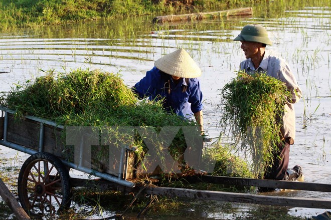 Améliorer l’accès aux marchés des agriculteurs