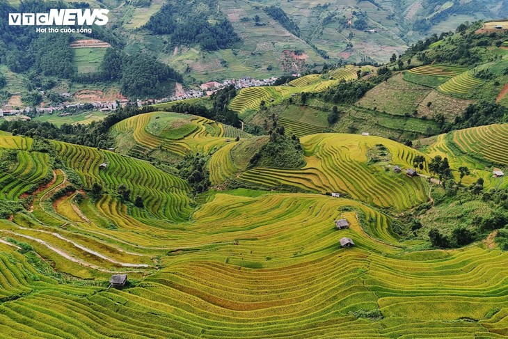 Hang Dang Dê à la saison des récoltes