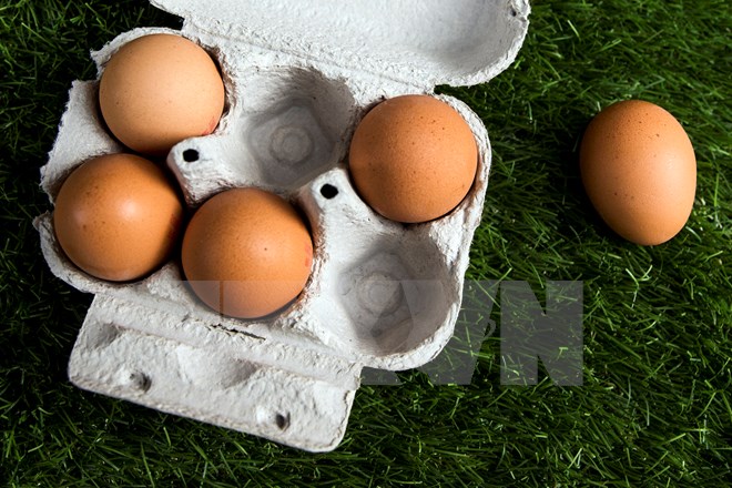 អ៊ីតាលីចាប់យកផលិតផលរបស់ក្រុមហ៊ុនបារាំងដែលពាន់ព័ន្ធដល់រឿងអាស្រូវពងមាន់មានជាតិគីមី Fipronil