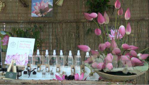 មហោស្រពផ្កាឈូក Dong Thap ដោយប្រធានបទ”ប្រលឹងផ្កាឈូក”