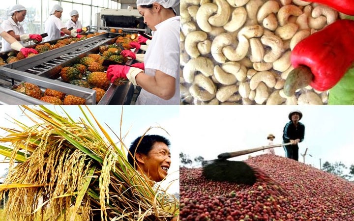 EVFTA - ឱកាសដើម្បីកែលម្អអភិបាលកិច្ចធុរកិច្ចនិងជំរុញការនាំចេញកសិកម្មរបស់វៀតណាម