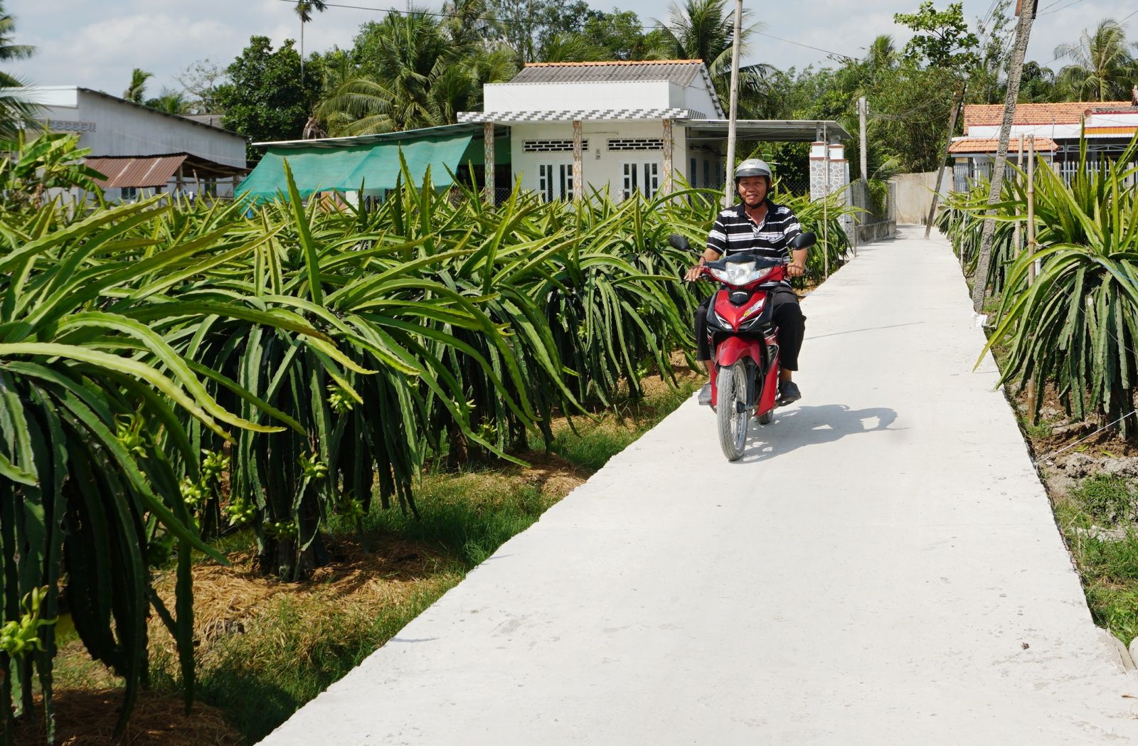 ទីក្រុង Tan An ខេត្ត Long An បំពេញភារកិច្ចកសាងជនបទថ្មី