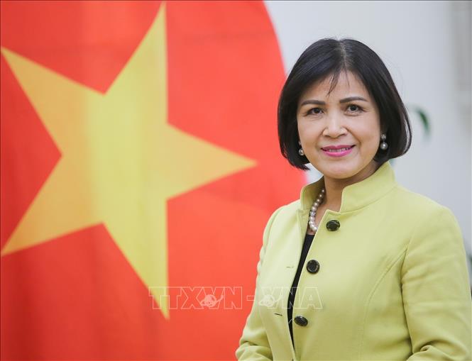 វៀតណាមចែករំលែកទស្សនៈនៅក្នុងសិក្ខាសាលារបស់ WTO ស្តីពីសេដ្ឋកិច្ចវិលជុំនិងការគាំទ្រផ្នែកពាណិជ្ជកម្ម