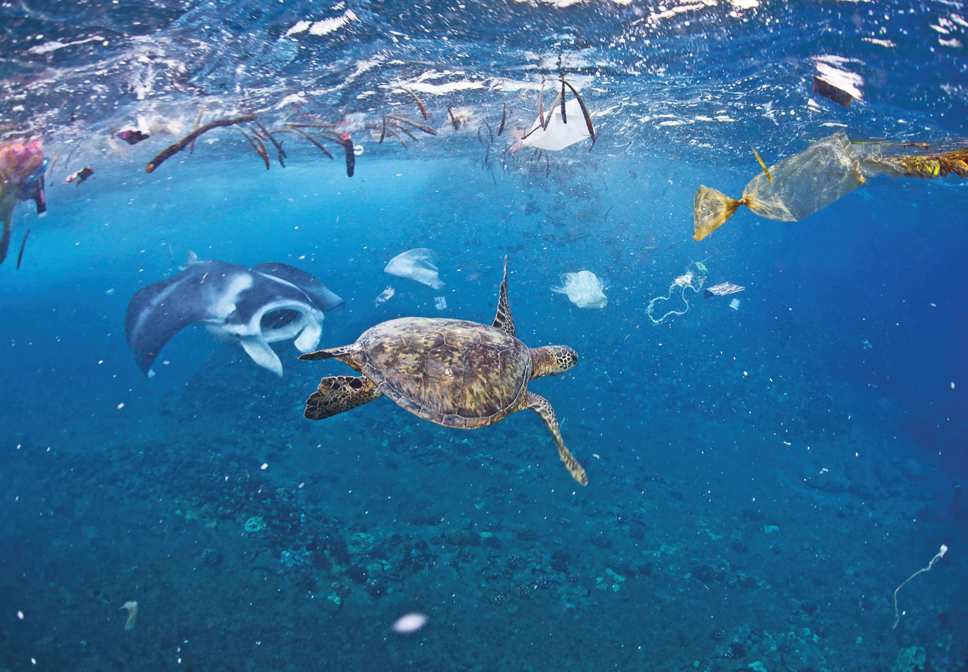 Memperkenalkan sepintas-lintas tentang upaya-upaya  komunitas dalam gerakan menanggulangi  sampah plastik di Vietnam