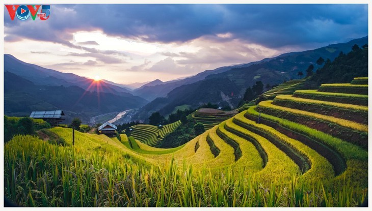 Keindahan Mu Cang Chai yang megah pada masa padi matang