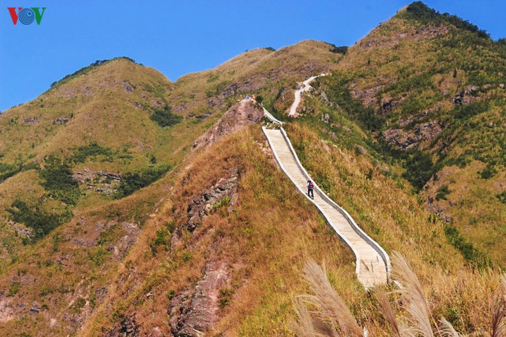 Daerah ketinggian Quang Ninh menyerap kedatangan  wisatawan  untuk menghayati pada Musim Gugur