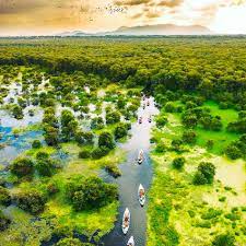 Perkenalkan sepintas tentang Hutan Kayu Putih Tra Su serta Pembangkit Listrik Tenaga Air Lai Chau