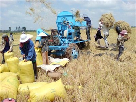 Vietnam orienta elevar el valor agrícola