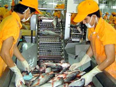 Vietnam proyecta lograr 2 mil millones de dólares de exportación de pescados Tra