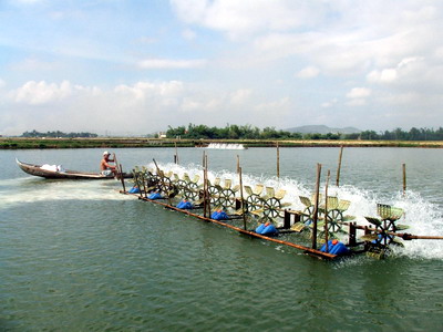 Vietnam explota potencialidades acuáticas